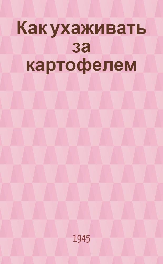 Как ухаживать за картофелем