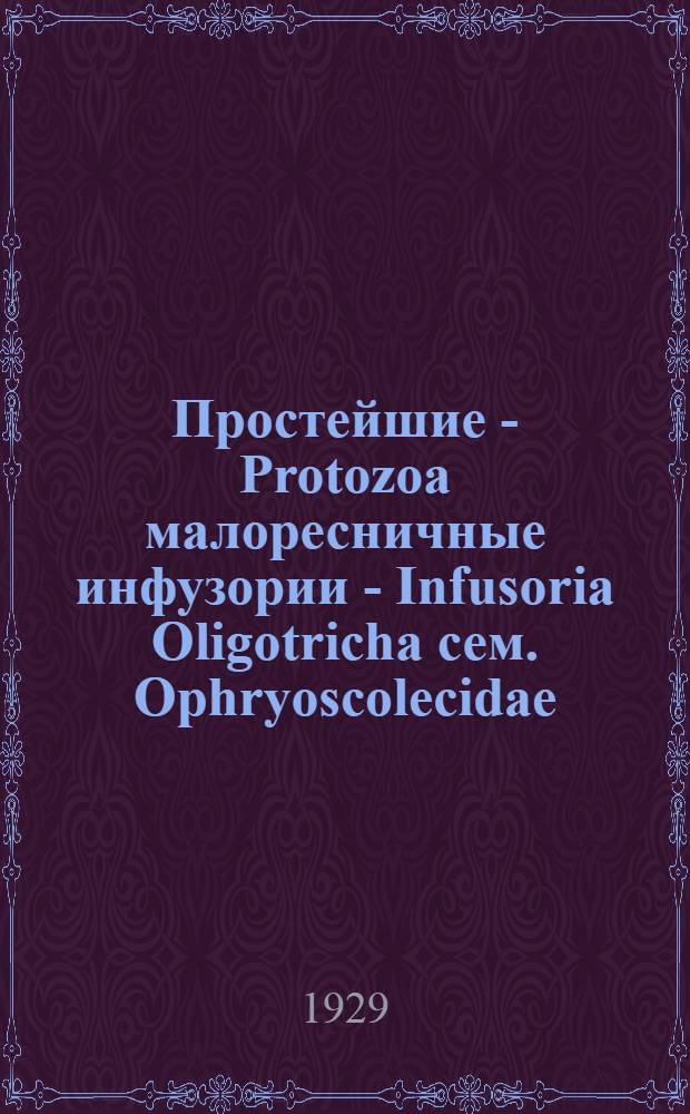 Простейшие - Protozoa малоресничные инфузории - Infusoria Oligotricha сем. Ophryoscolecidae