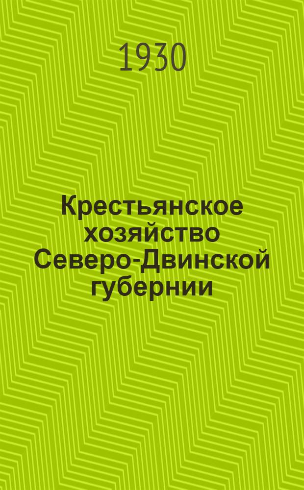 Крестьянское хозяйство Северо-Двинской губернии