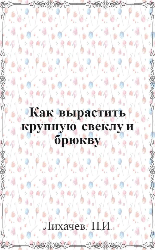 Как вырастить крупную свеклу и брюкву