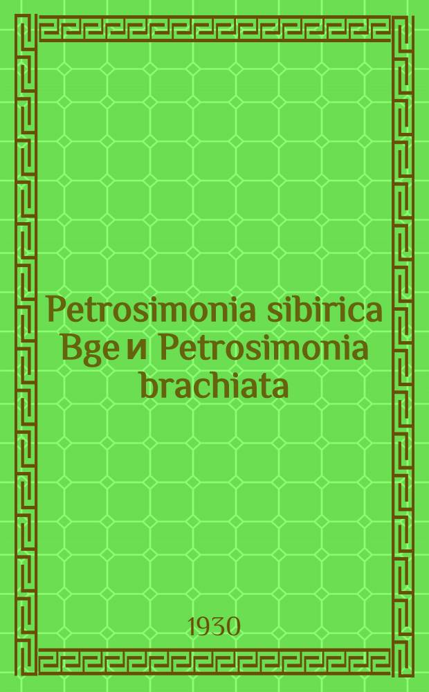 Petrosimonia sibirica Bge и Petrosimonia brachiata (Pall.) Bge в Западной Сибири