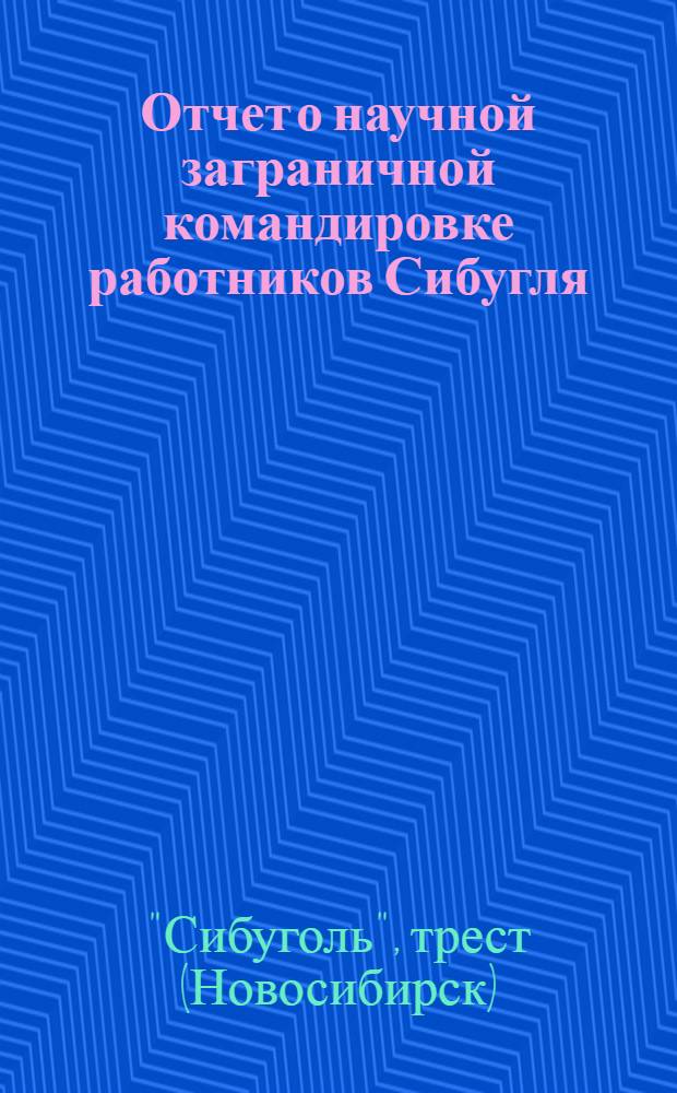 Отчет о научной заграничной командировке работников Сибугля