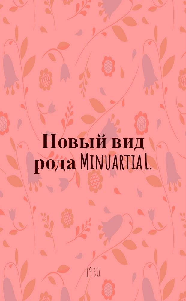 Новый вид рода Minuartia L.
