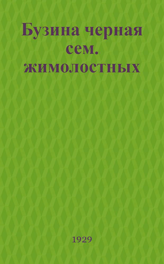 Бузина черная сем. жимолостных