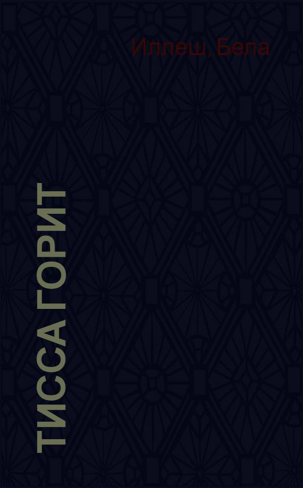 Тисса горит : По стопам революции в Средней Европе. Кн. 1