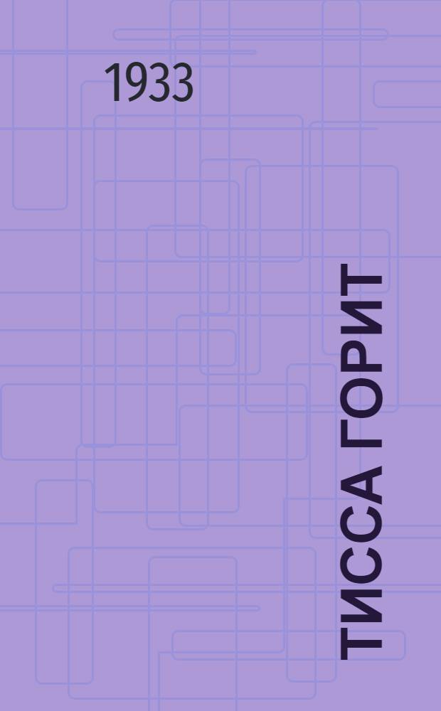 Тисса горит : По стопам революции в Средней Европе. [Кн. 1]. Кн. 3