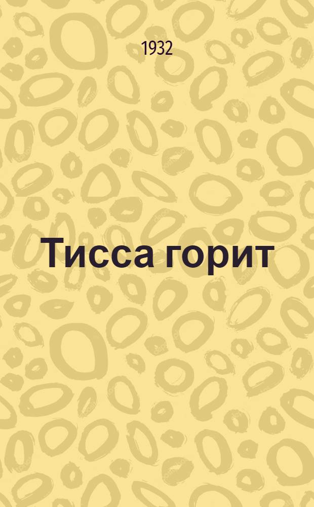 Тисса горит : По стопам революции в Средней Европе : Роман