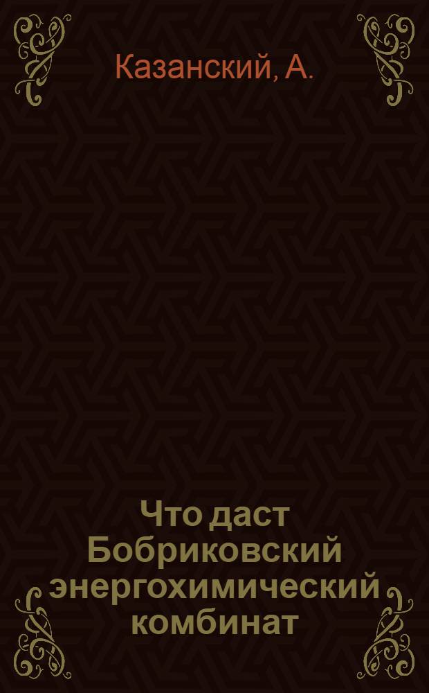 Что даст Бобриковский энергохимический комбинат