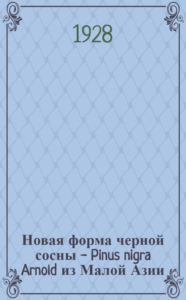 Новая форма черной сосны - Pinus nigra Arnold из Малой Азии