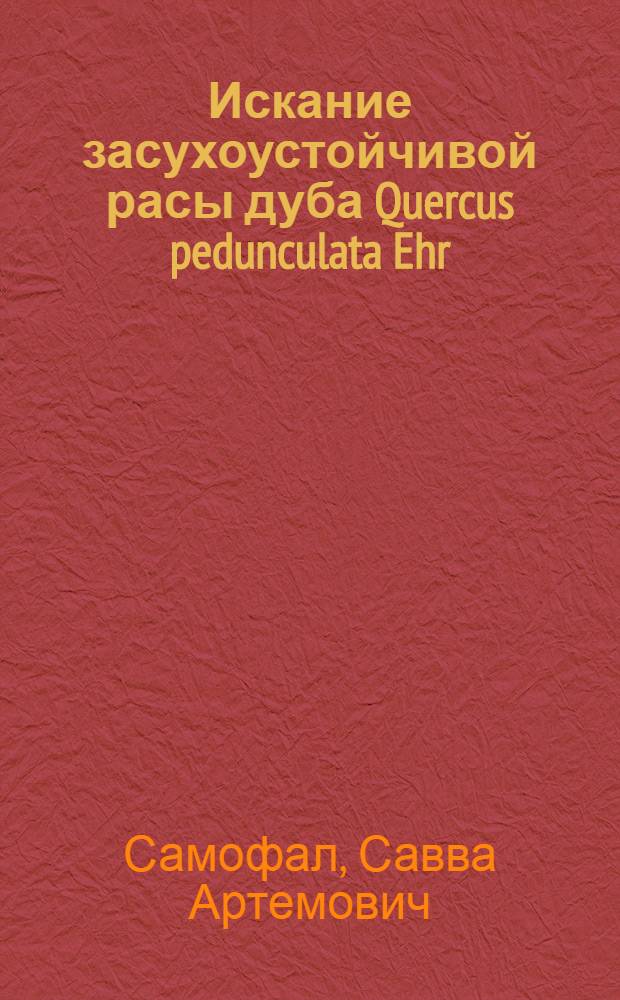 Искание засухоустойчивой расы дуба Quercus pedunculata Ehr