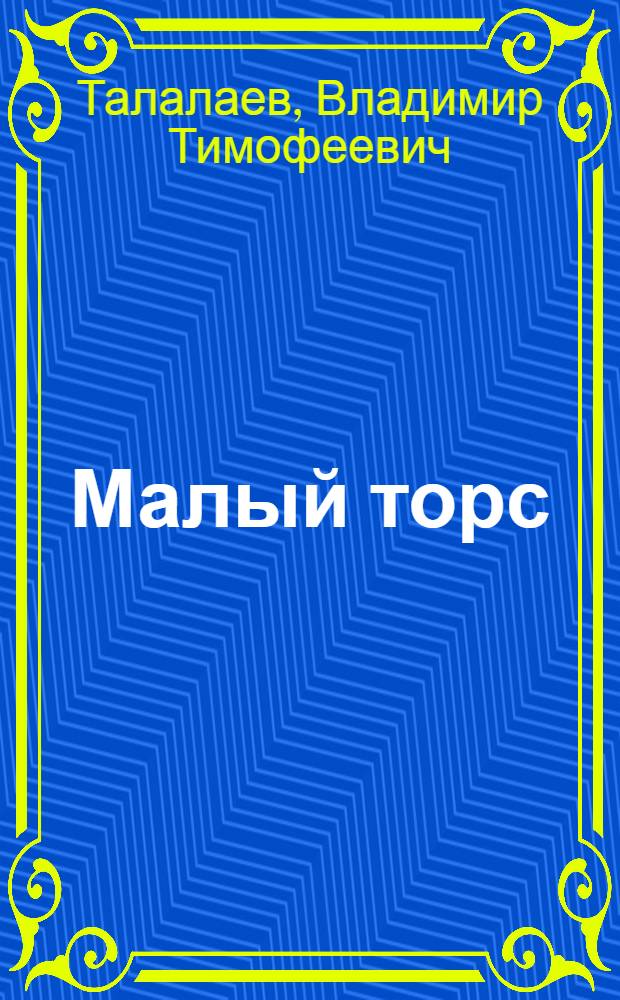 Малый торс