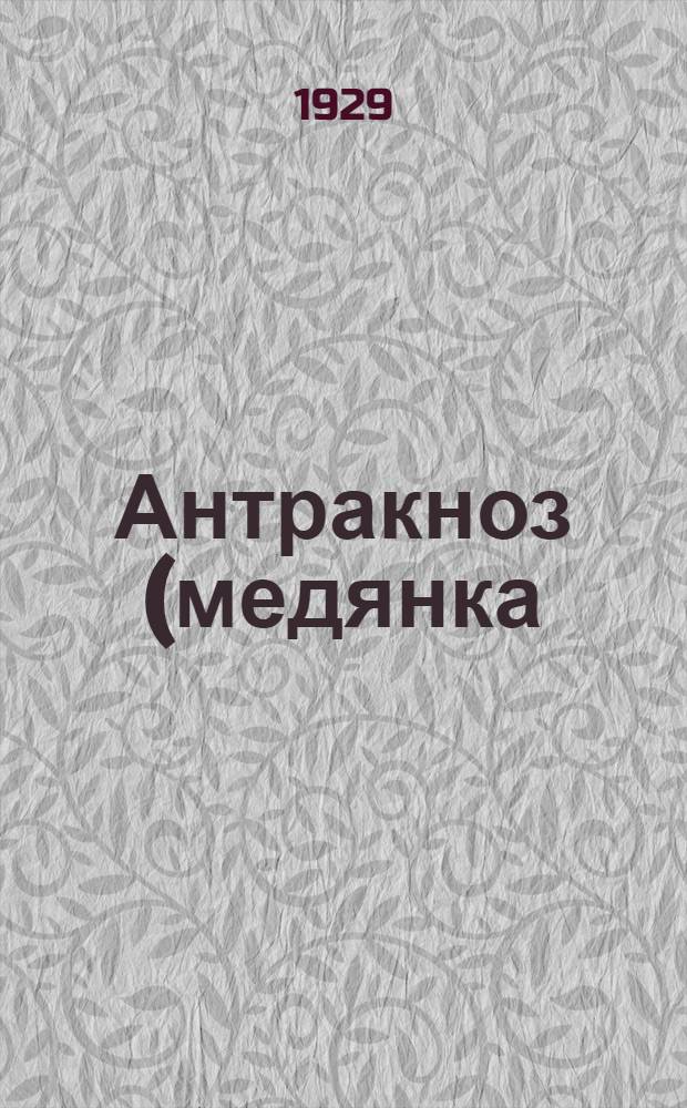 Антракноз (медянка) тыквенных растений. (Colletotrichum lagenarium (Pass) Ellis Halst)