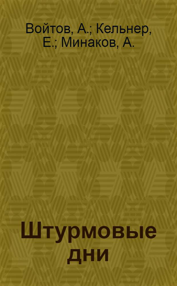 Штурмовые дни : Очерки