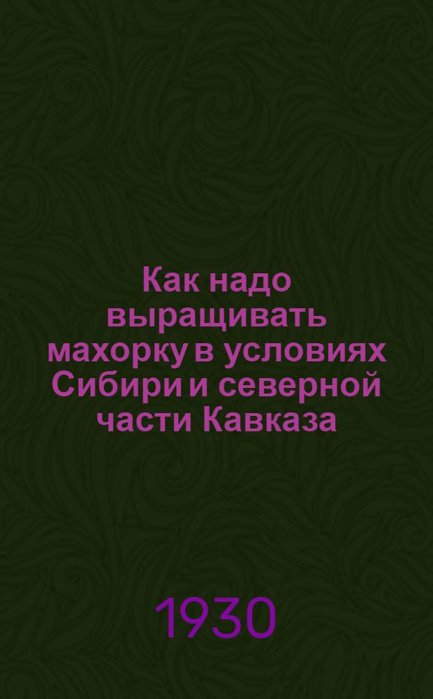 Как надо выращивать махорку в условиях Сибири и северной части Кавказа