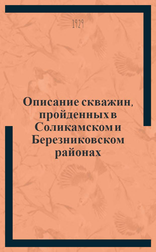 Описание скважин, пройденных в Соликамском и Березниковском районах