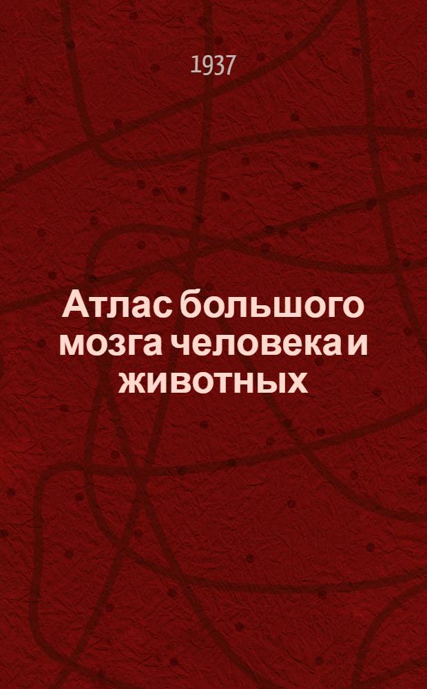 Атлас большого мозга человека и животных