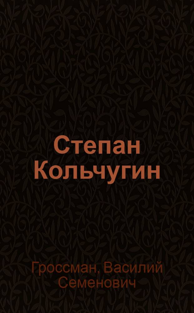 Степан Кольчугин : Повесть