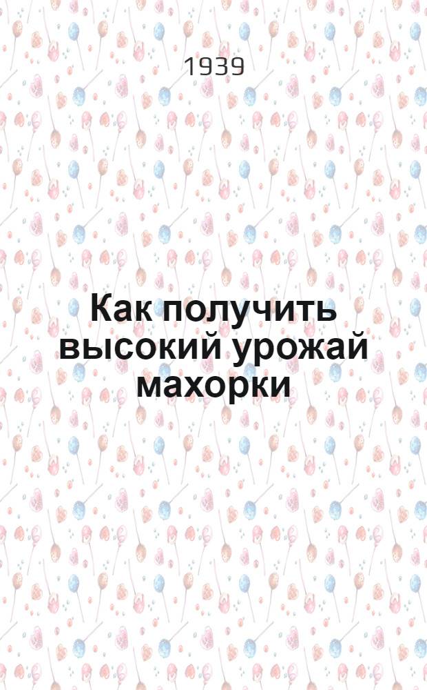 Как получить высокий урожай махорки