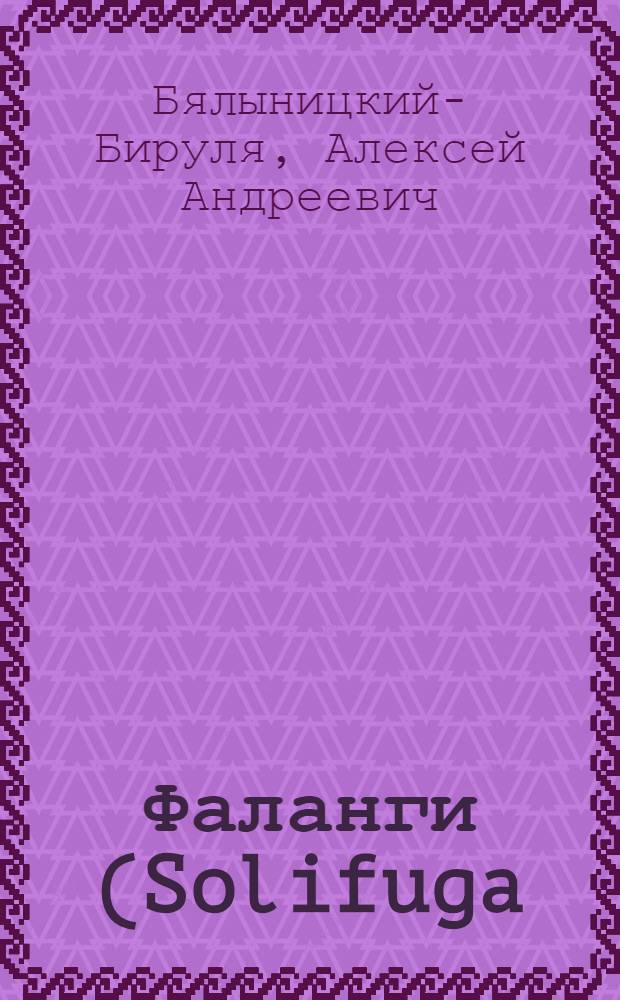 Фаланги (Solifuga)