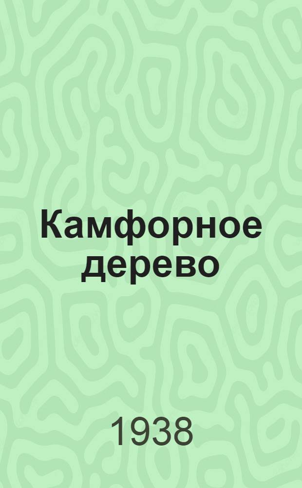 Камфорное дерево