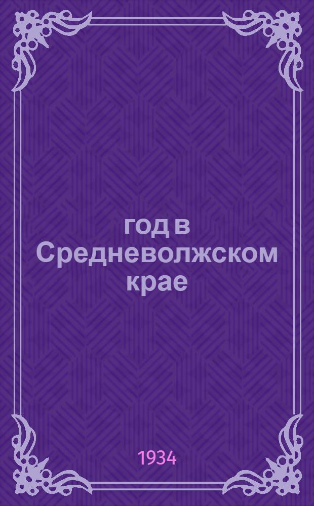 1920 год в Средневолжском крае : (Хроника рев. событий)