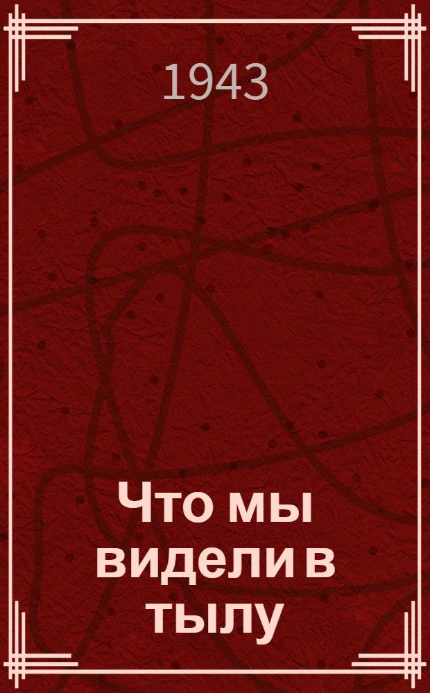 Что мы видели в тылу : Из дневника фронтовой делегации
