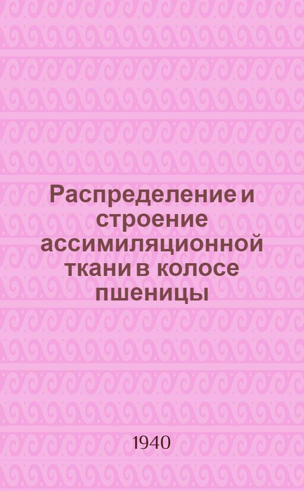 Распределение и строение ассимиляционной ткани в колосе пшеницы