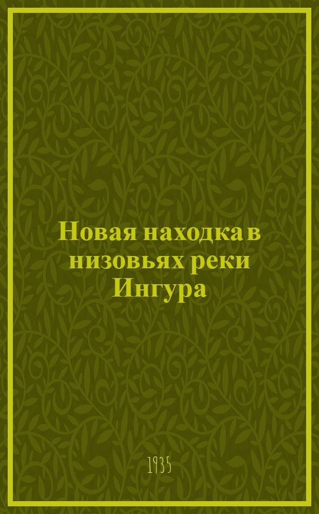 Новая находка в низовьях реки Ингура