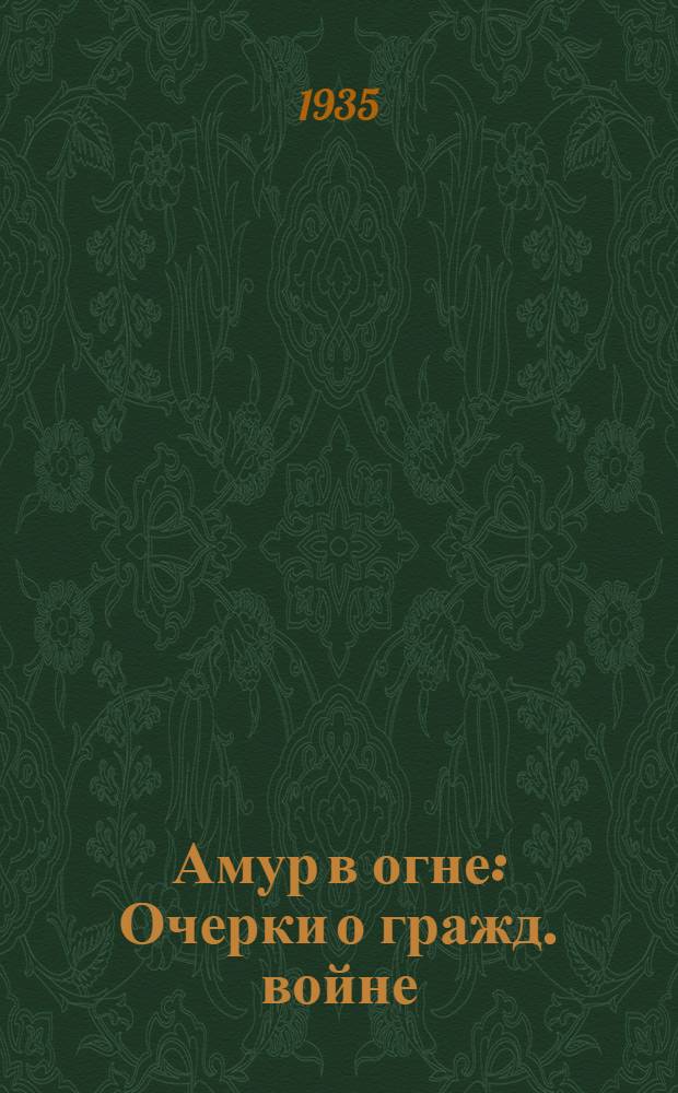 Амур в огне : Очерки о гражд. войне