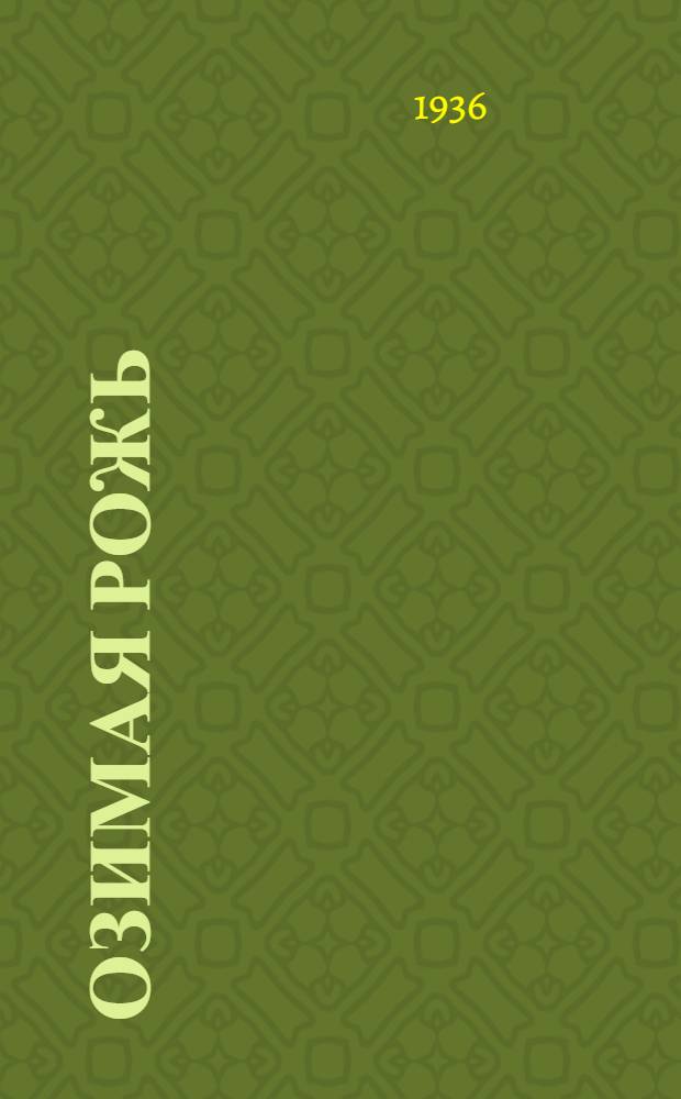 Озимая рожь