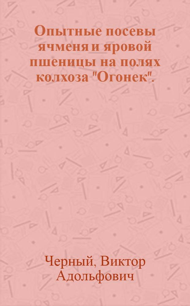 Опытные посевы ячменя и яровой пшеницы на полях колхоза "Огонек". (Крайний север)