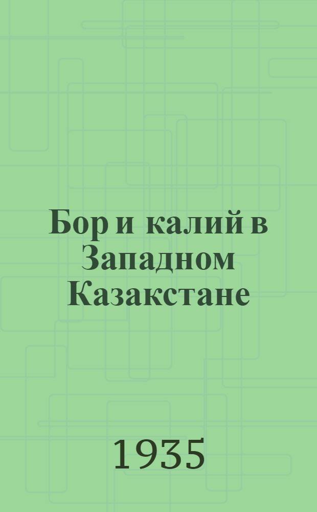 Бор и калий в Западном Казакстане : Сборник статей