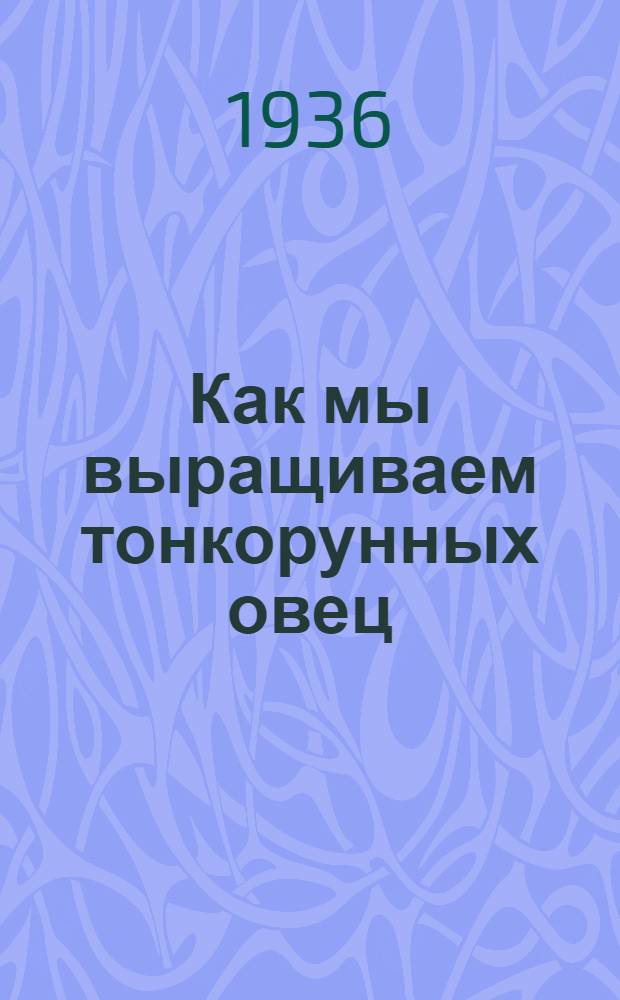 Как мы выращиваем тонкорунных овец