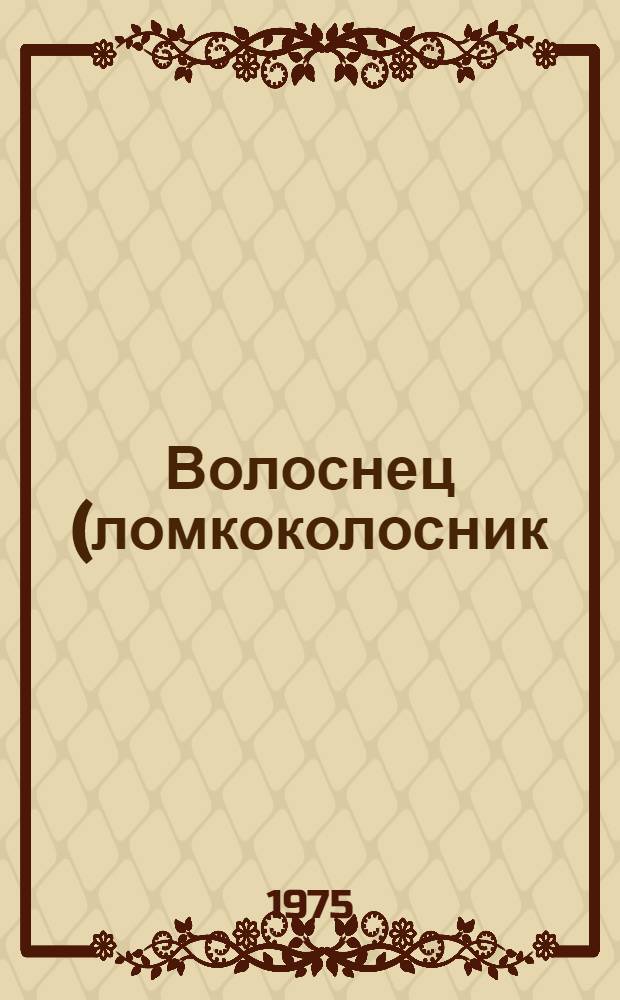 Волоснец (ломкоколосник) ситниковый
