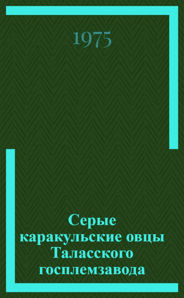 Серые каракульские овцы Таласского госплемзавода