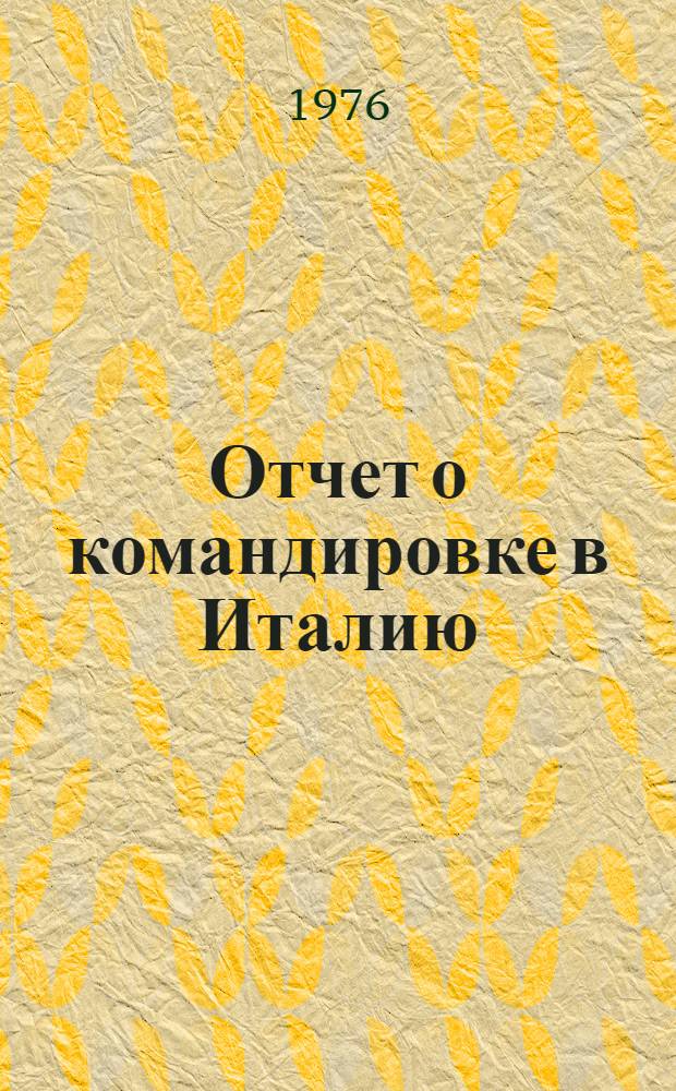 Отчет о командировке в Италию