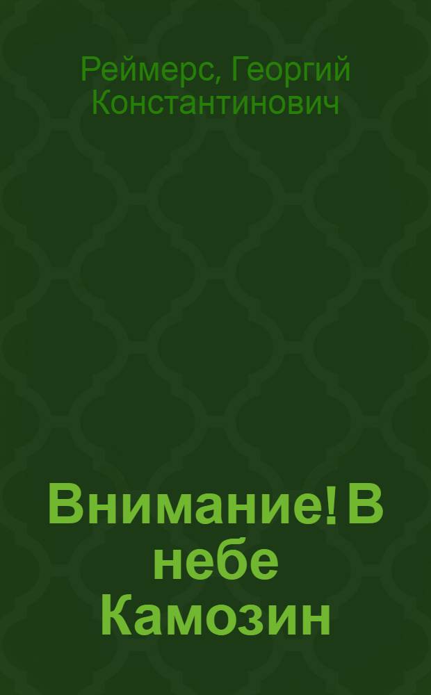 Внимание! В небе Камозин : Докум.-худож. повесть