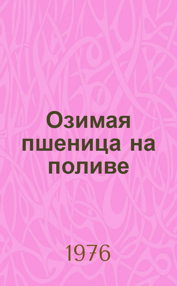 Озимая пшеница на поливе