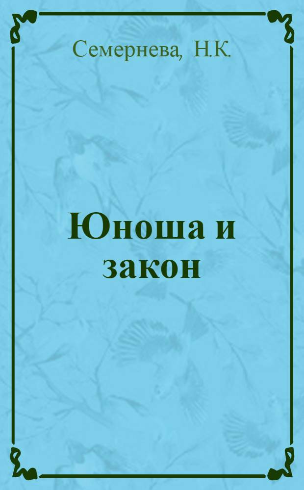 Юноша и закон : [1-8]. [8] : В ответе ты сам