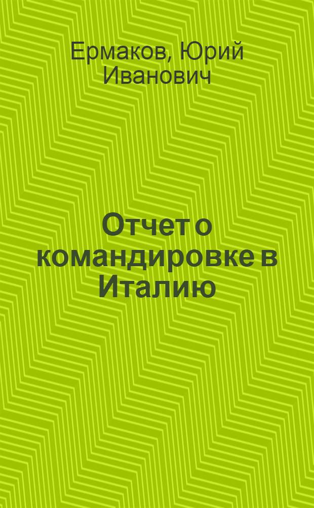 Отчет о командировке в Италию