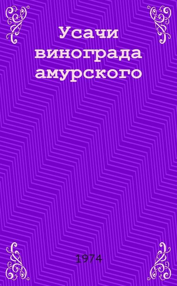 Усачи винограда амурского