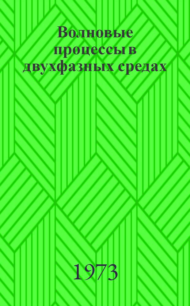 Волновые процессы в двухфазных средах : Автореф. дис. на соиск. учен. степени канд. физ.-мат. наук : (01.04.14)