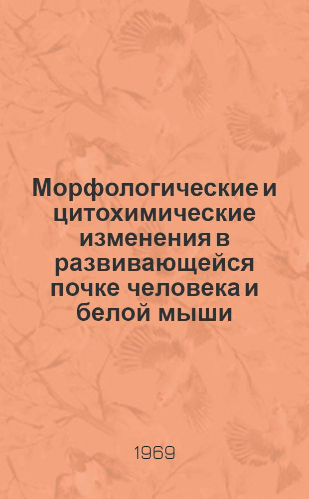 Морфологические и цитохимические изменения в развивающейся почке человека и белой мыши : Автореф. дис. на соискание учен. степени канд. мед. наук : (773)