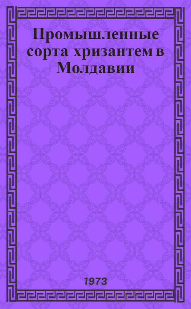 Промышленные сорта хризантем в Молдавии