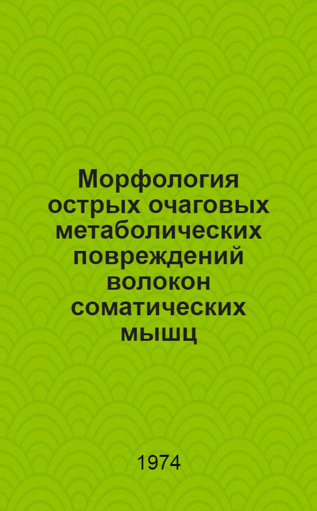 Морфология острых очаговых метаболических повреждений волокон соматических мышц : (Эксперим. исследование) : Автореф. дис. на соиск. учен. степени канд. мед. наук : (14.00.15)