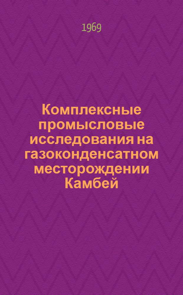 Комплексные промысловые исследования на газоконденсатном месторождении Камбей : Обзор
