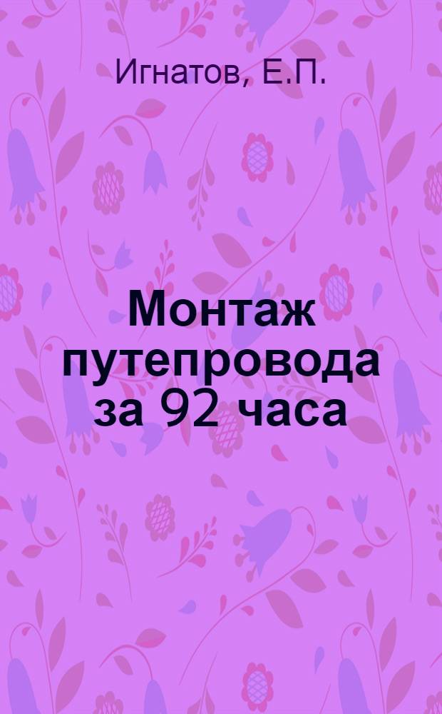 Монтаж путепровода за 92 часа : Мостопоезд № 480 Мостостроя № 3