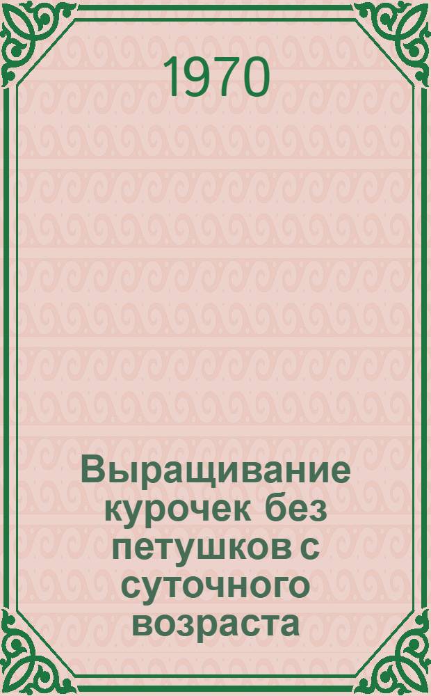 Выращивание курочек без петушков с суточного возраста