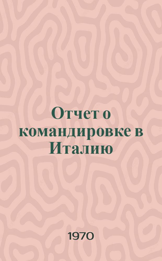 Отчет о командировке в Италию