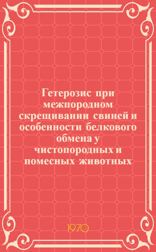 Гетерозис при межпородном скрещивании свиней и особенности белкового обмена у чистопородных и помесных животных : Автореф. дис. на соискание учен. степени канд. биол. наук : (06.550)